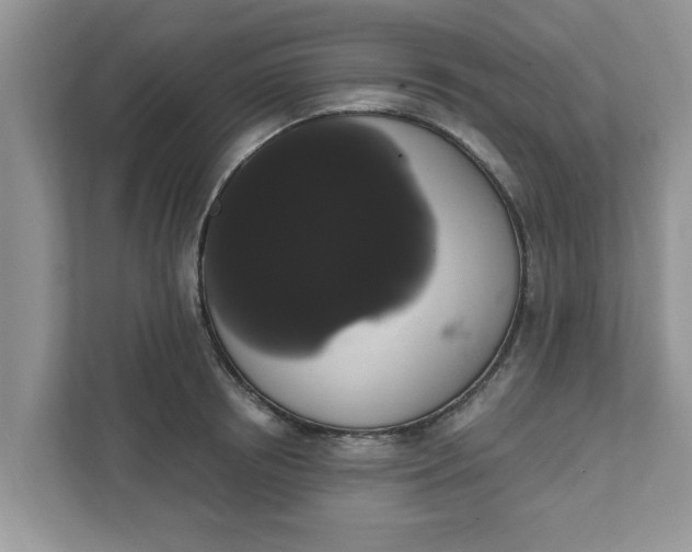 X0000111830850200908061154