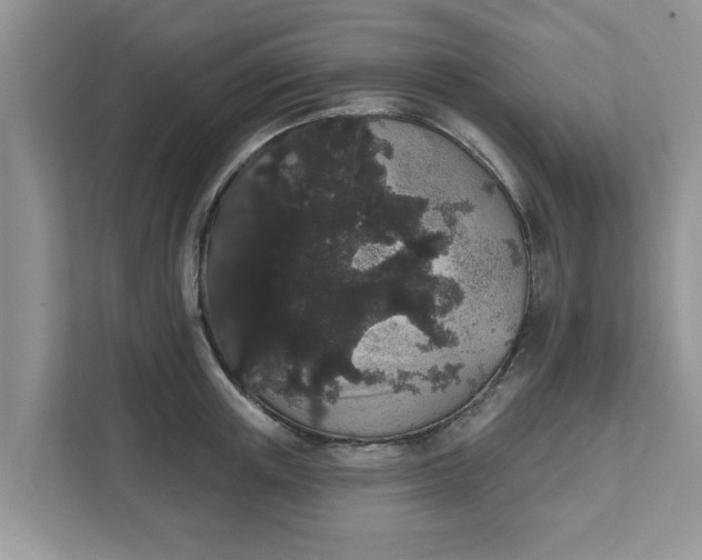 X0000111830851200908061154