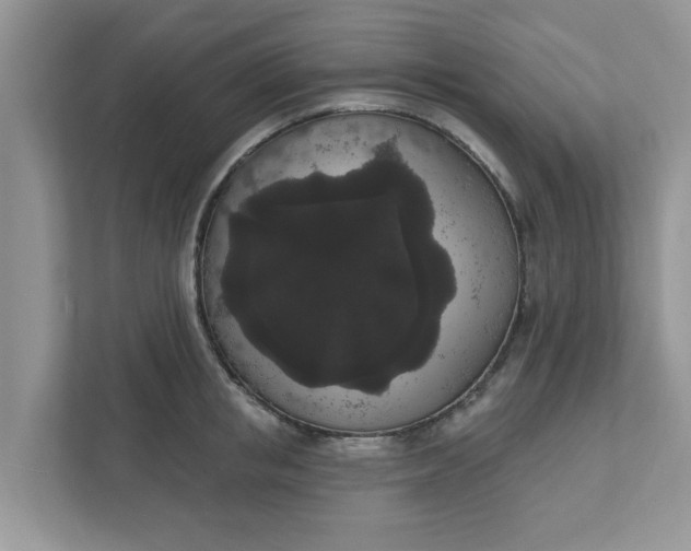 X0000111830853200908061154