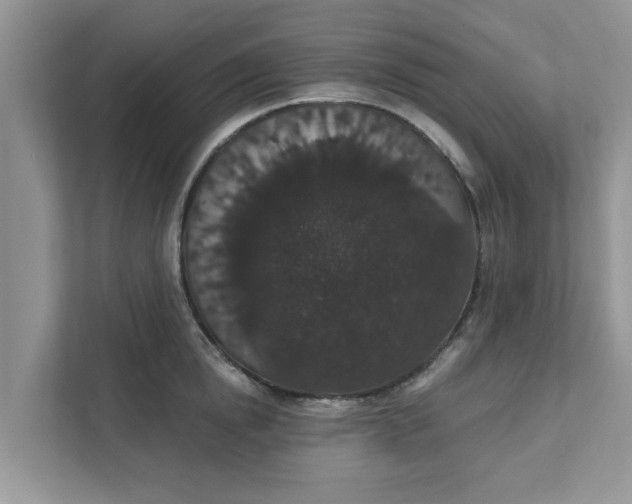 X0000111830854200908061154
