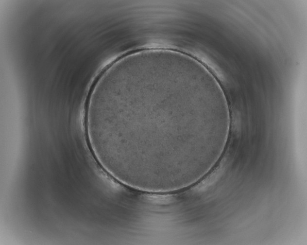 X0000111830856200908061154