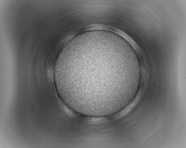 X0000111830857200908061154