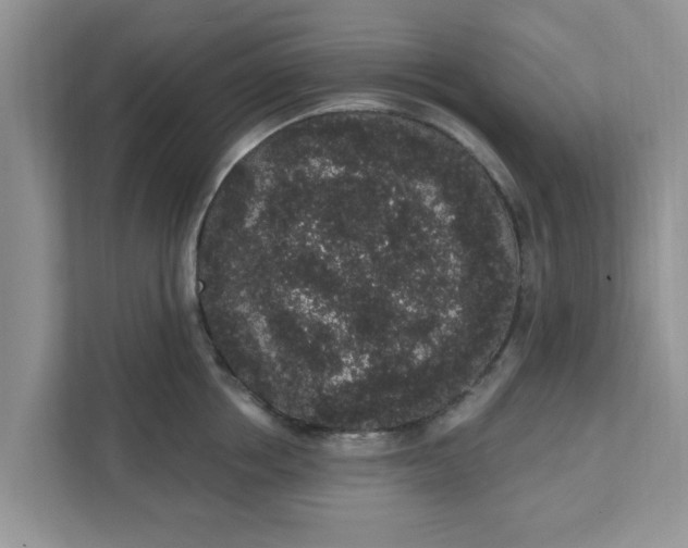 X0000111830858200908061154