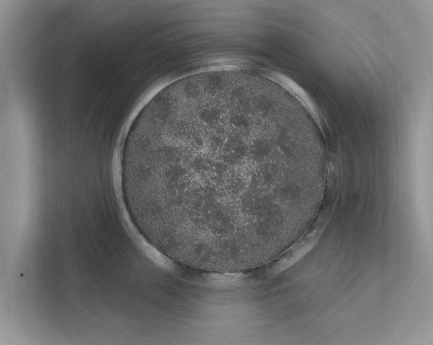X0000111830859200908061154