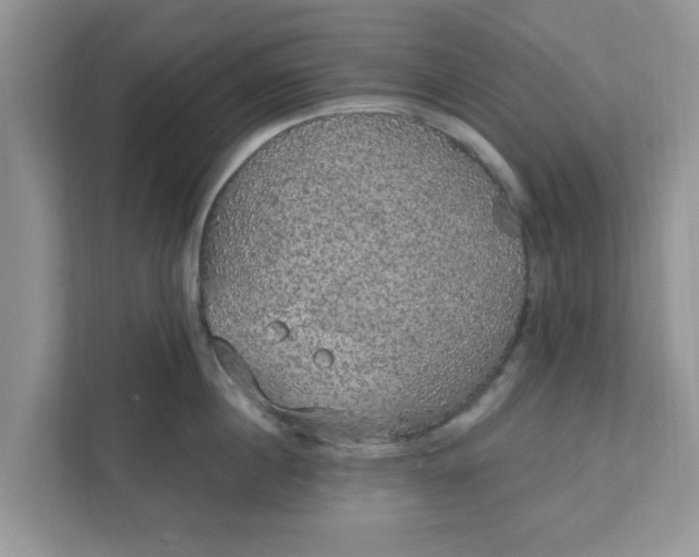 X0000111830860200908061154