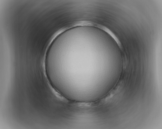 X0000111830861200908061154