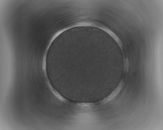 X0000111830862200908061154