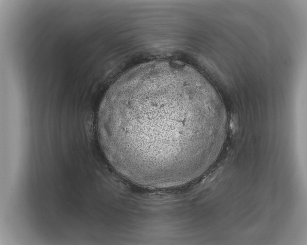 X0000111830867200908061153
