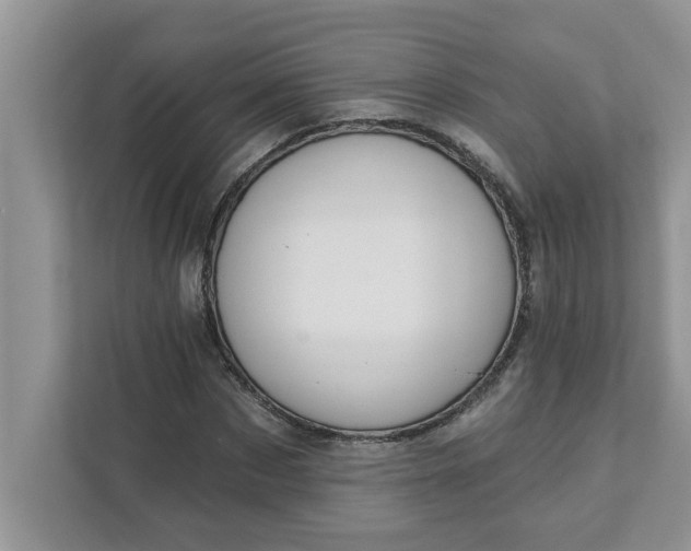 X0000111830873200908061153