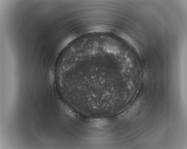 X0000111830874200908061153
