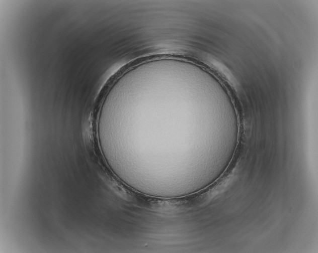 X0000111830875200908061153