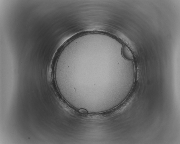 X0000111830876200908061153