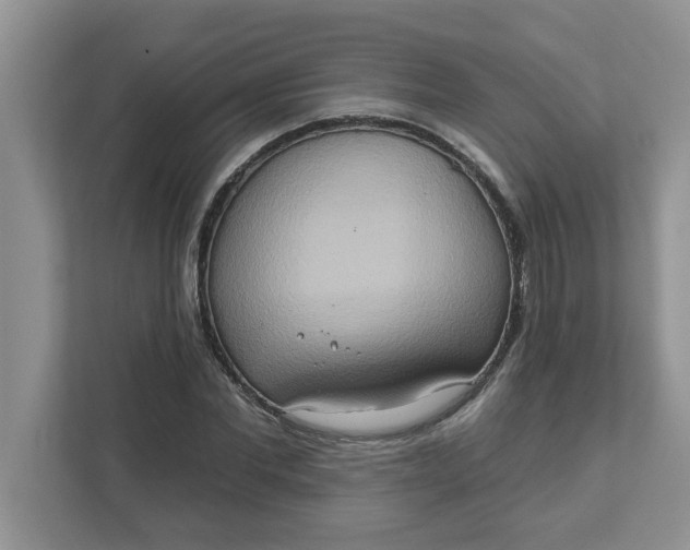 X0000111830877200908061153