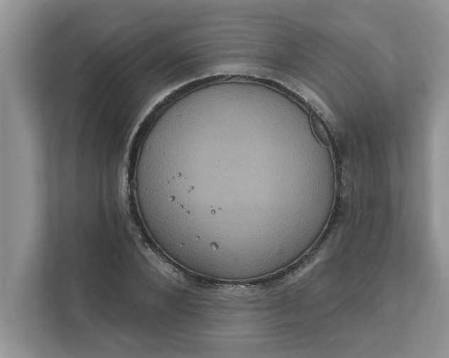 X0000111830880200908061153