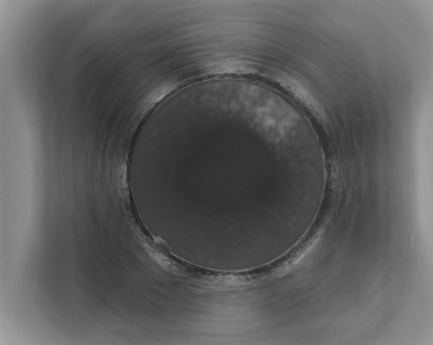 X0000111830881200908061153