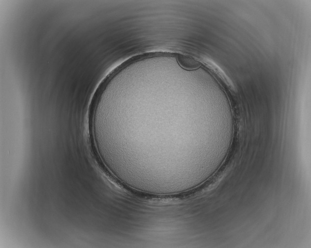 X0000111830884200908061153