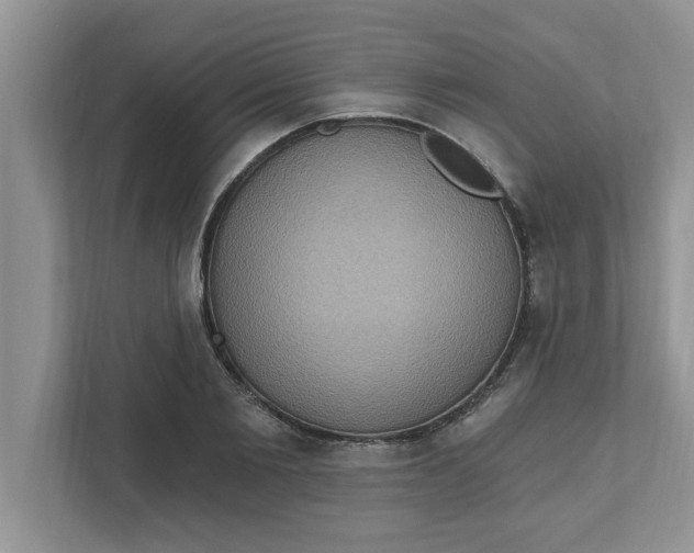 X0000111830885200908061153