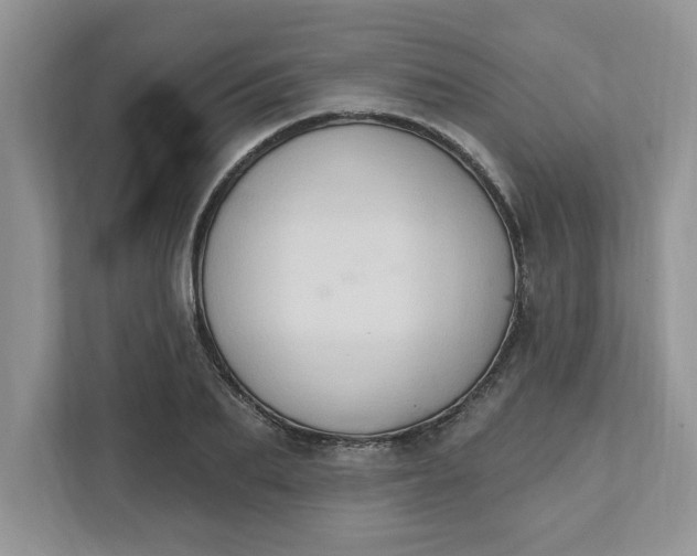 X0000111830887200908061153