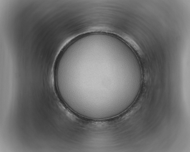 X0000111830888200908061153