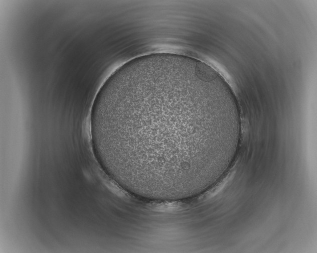 X0000111830891200908061153