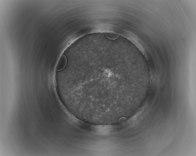 X0000111830893200908061153