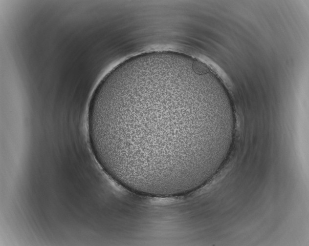 X0000111830894200908061153