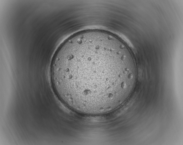 X0000111830895200908061153