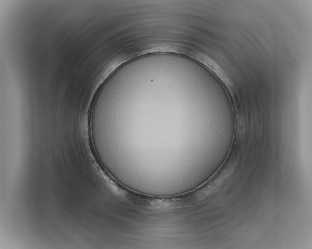 X0000111830898200908061153