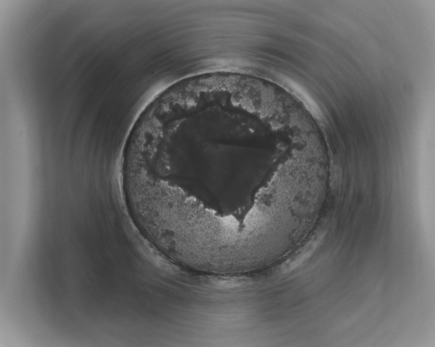X0000111830899200908061153