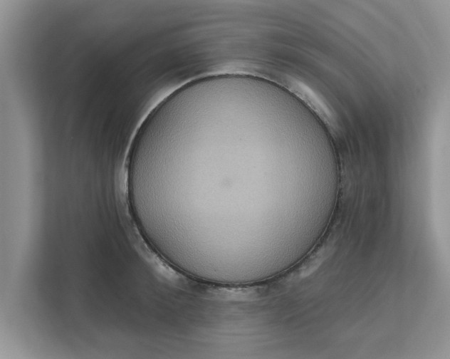 X0000111830900200908061153