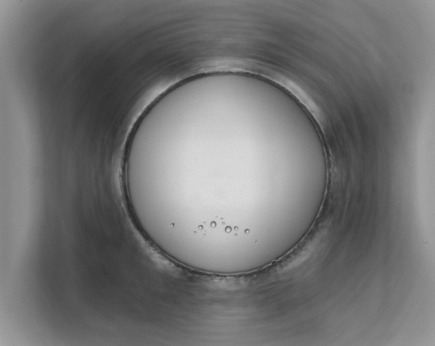 X0000111830901200908061153