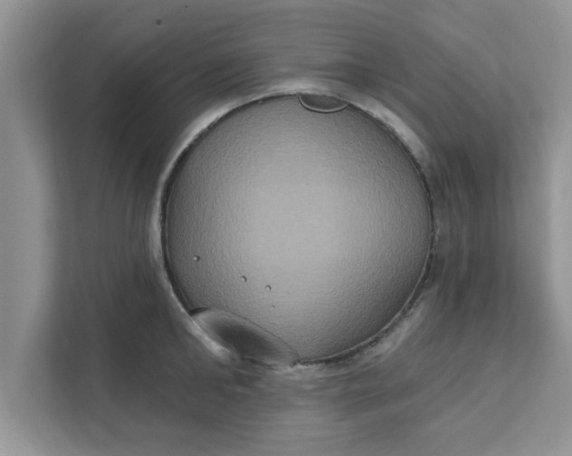 X0000111830902200908061153