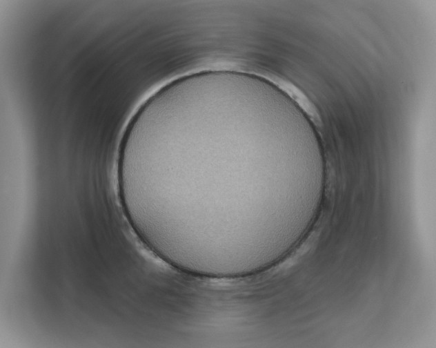 X0000111830904200908061153