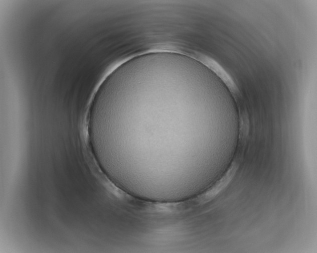 X0000111830908200908061153