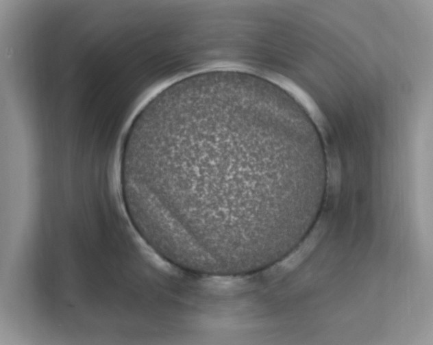 X0000111830910200908061153