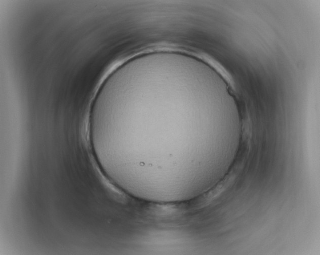 X0000111830911200908061153