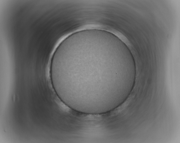 X0000111830912200908061153