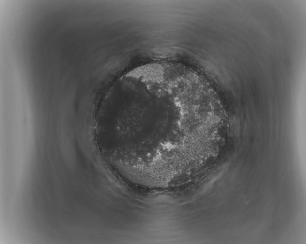 X0000111830913200908061152