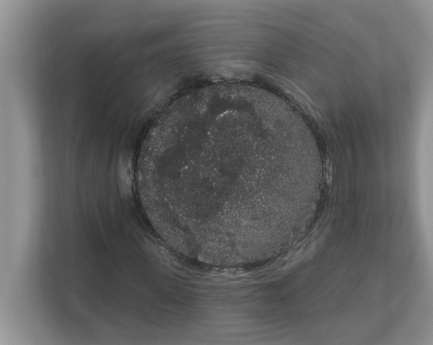 X0000111830915200908061152