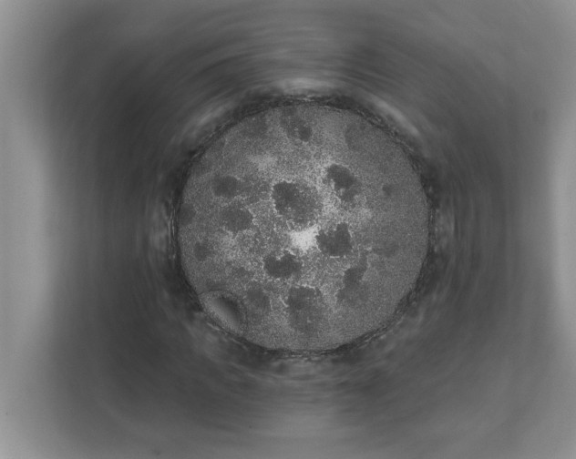 X0000111830917200908061152