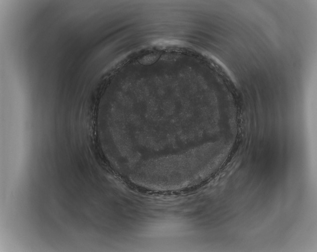 X0000111830919200908061152