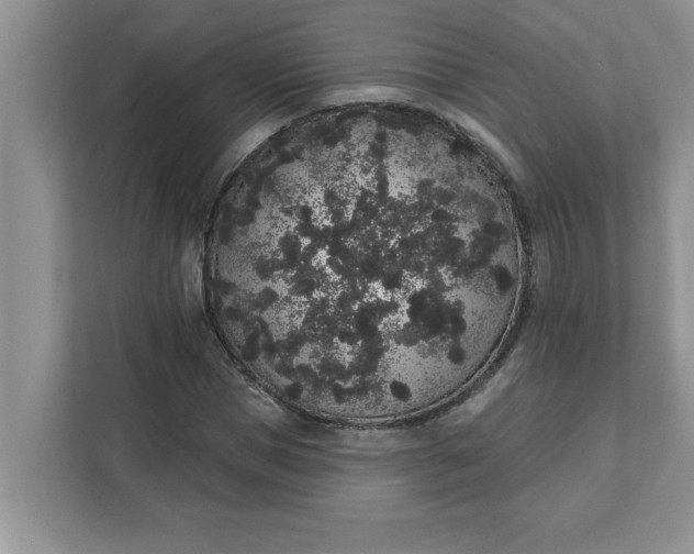 X0000111830921200908061152