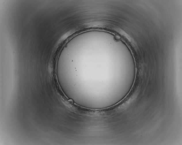 X0000111830922200908061152