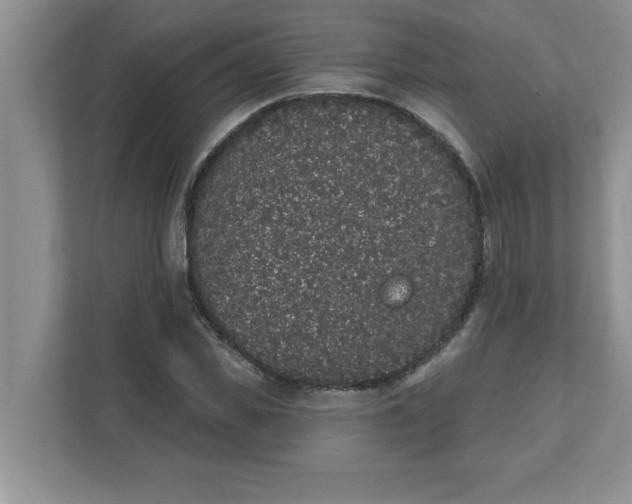 X0000111830925200908061152