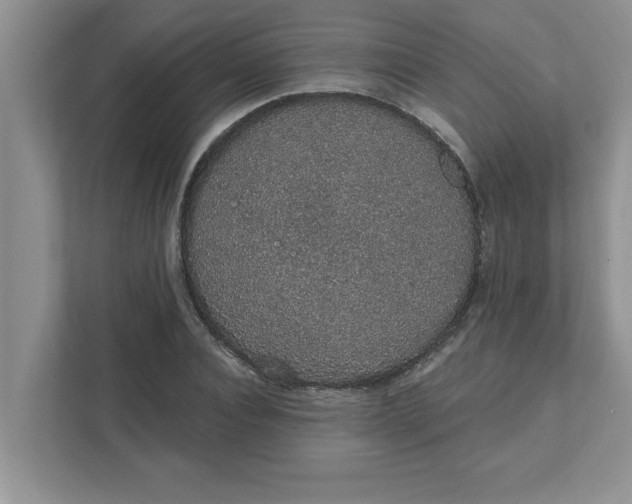 X0000111830928200908061152