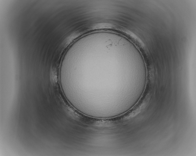 X0000111830929200908061152