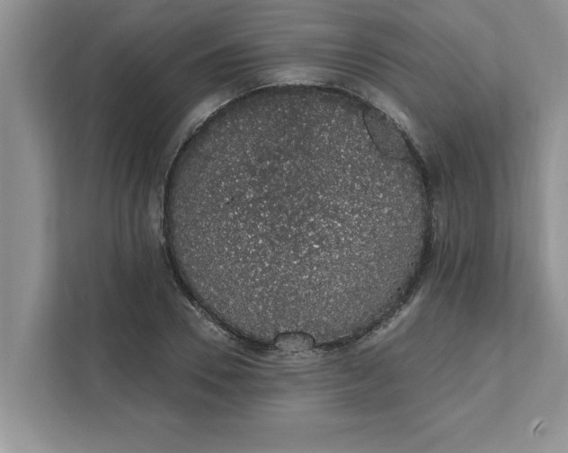 X0000111830930200908061152