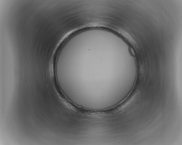 X0000111830934200908061152