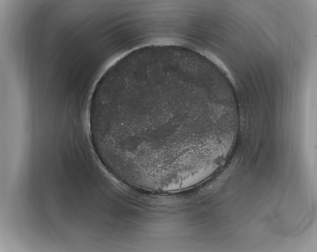 X0000111830935200908061152