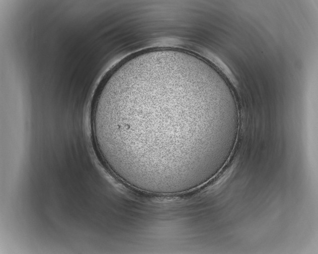 X0000111830939200908061152